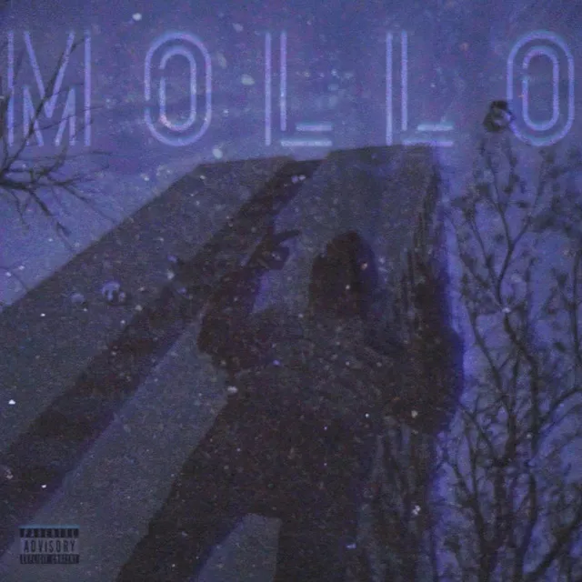 Mollo