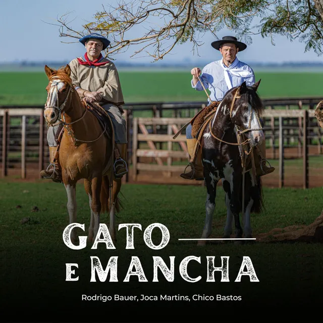 Gato e Mancha