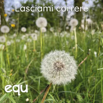 Lasciami correre by Equ