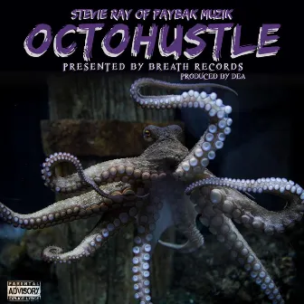 Octohustle by StevieRay