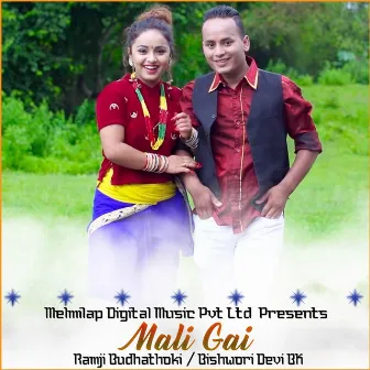 Mali Gai by Ramji Budhathoki