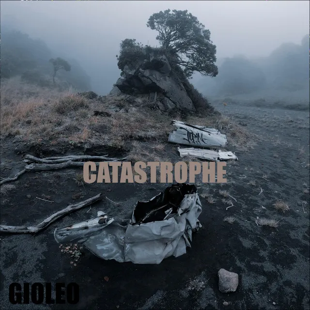 Catastrophe