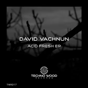 Acid Fresh EP by David Vachnun