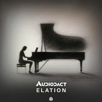 Elation by Audiodact