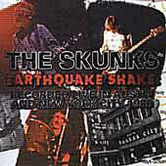 Earthquake Shake by The Skunks