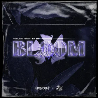 Bloom by Pseudo Prophet