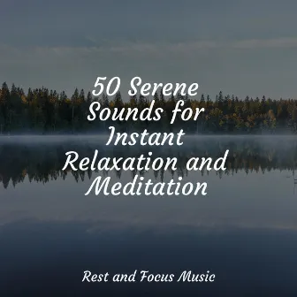 50 Serene Sounds for Instant Relaxation and Meditation by PowerThoughts Meditation Club