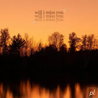 will i miss you by Trix.