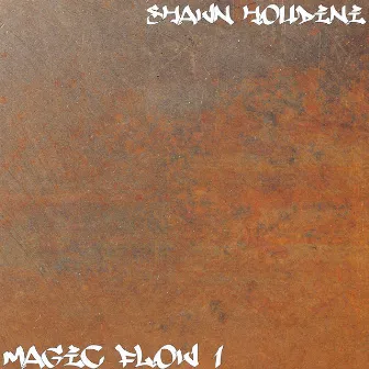 Magic Flow 1 by Shawn Houdini