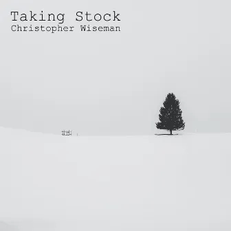 Taking Stock by Christopher Wiseman