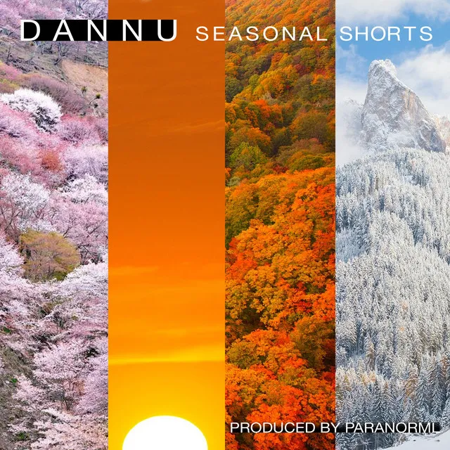 Seasonal Shorts