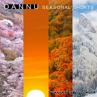 Seasonal Shorts by Dannu