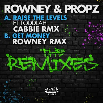 Raise the Levels (Cabbie Remix) / Get Money (Rowney Remix) by Propz