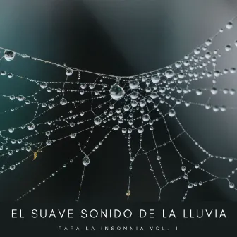 El Suave Sonido De La Lluvia Para La Insomnia Vol. 1 by Música para Desayuno