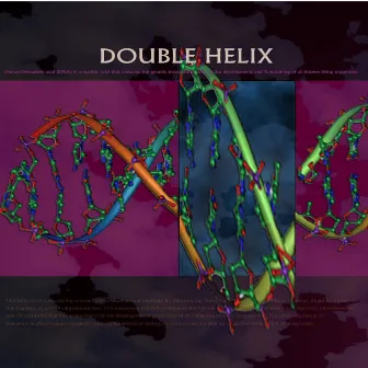 Double Helix by Entropy