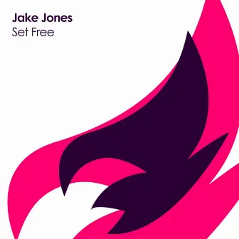 Set Free by Jake Jones