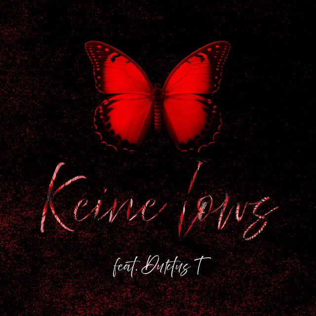 Keine Lows (feat. Duktus T)