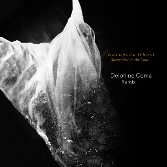 Suspended in the Void (Delphine Coma Remix) by European Ghost