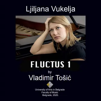 Vladimir Tošić: Fluctus I by Unknown Artist