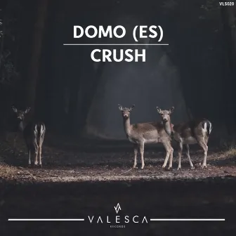 CRUSH by DOMO (ES)