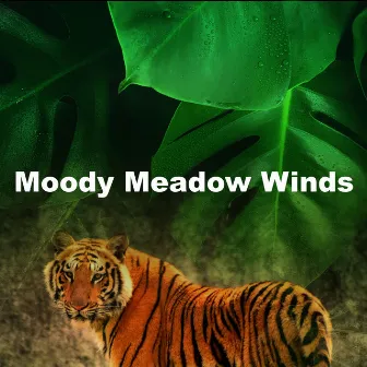 Moody Meadow Winds by Forest Wind Sounds