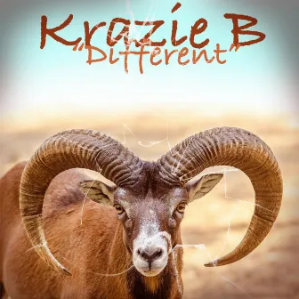 Different by Krazie B