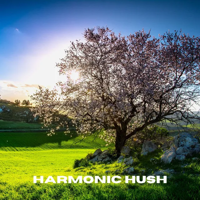 Harmonic Hush