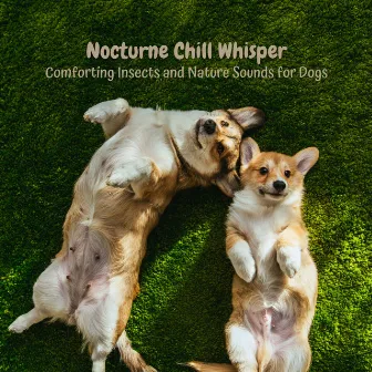 Nocturne Chill Whisper: Comforting Insects and Nature Sounds for Dogs by Sound of Nature