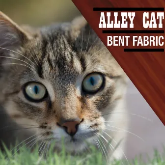 Alley Cat by Bent Fabric