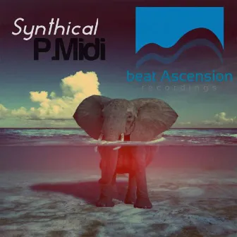 Synthical by P-Midi