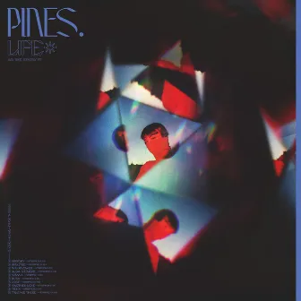 Life As We Know It (Stripped) by PINES