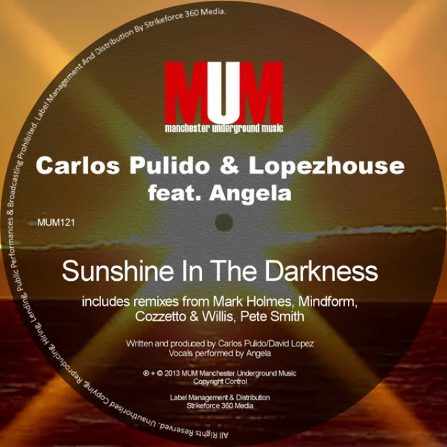 Sunshine in the Darkness - Original Mix