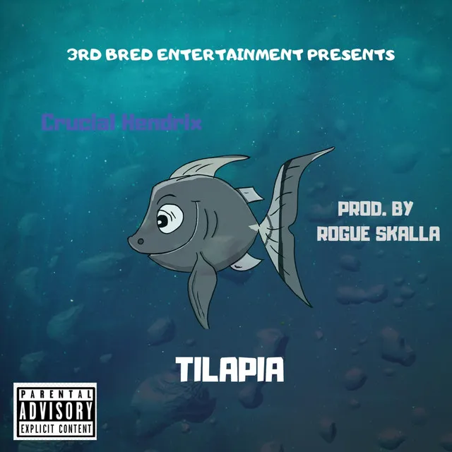 Tilapia