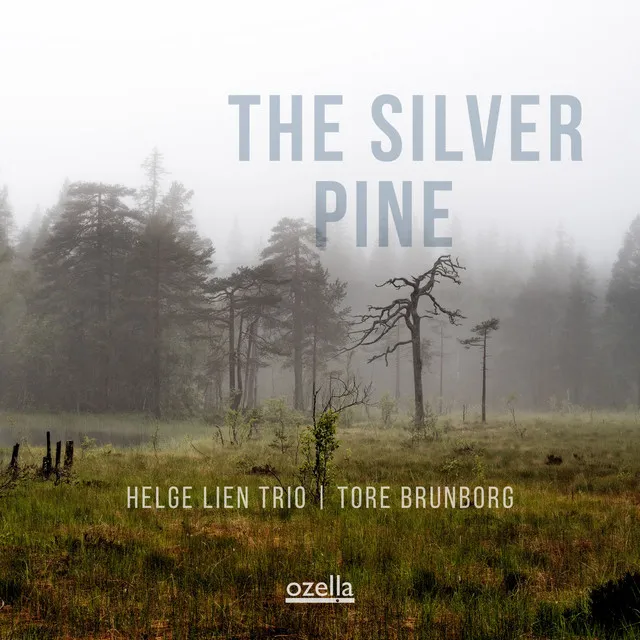 The Silver Pine