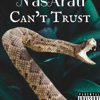 Can't Trust by NasArati