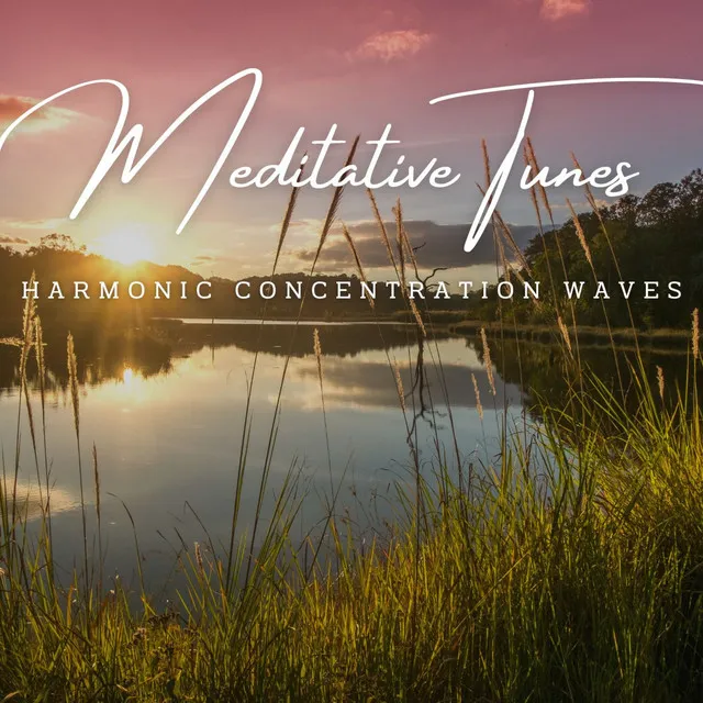 FlowState Harmony: Meditative Tunes for Productive Work