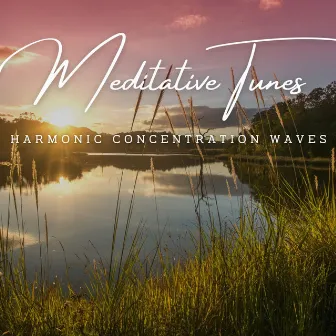 FlowState Harmony: Meditative Tunes for Productive Work by The Quiet Path