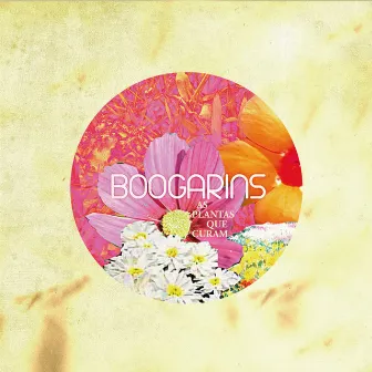 As Plantas Que Curam by Boogarins