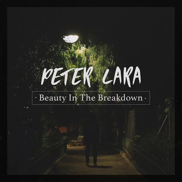 Beauty In The Breakdown