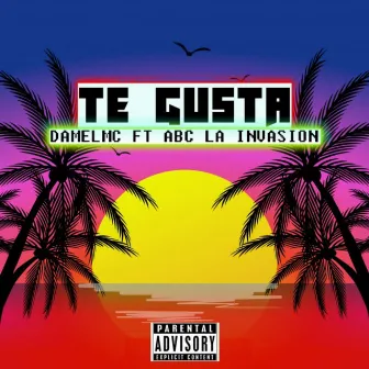 Te Gusta by Damel Mc