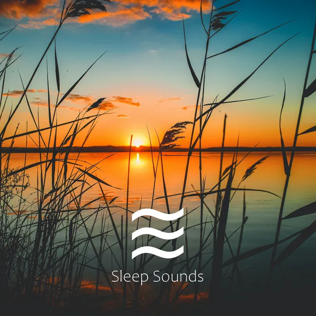 Waves Sounds for Babies Sleep