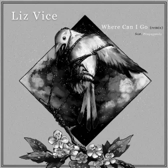 Where Can I Go (Remix) by Liz Vice