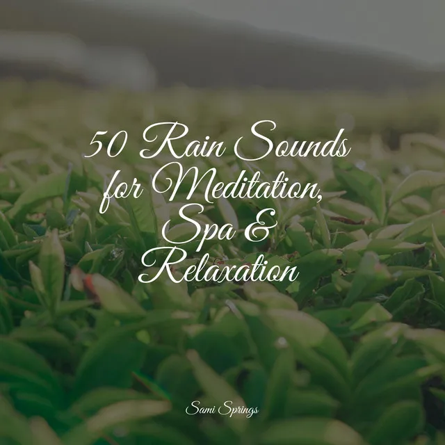 50 Rain Sounds for Meditation, Spa & Relaxation