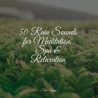 50 Rain Sounds for Meditation, Spa & Relaxation by Rain Hard