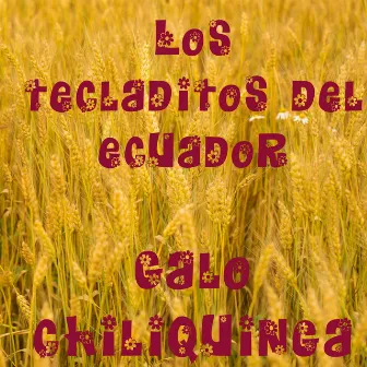 Los Tecladitos del Ecuador by Galo Chiliquinga