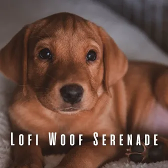 Lofi Woof Serenade: Melodic Moments with Your Dog by The Dog Music Legends