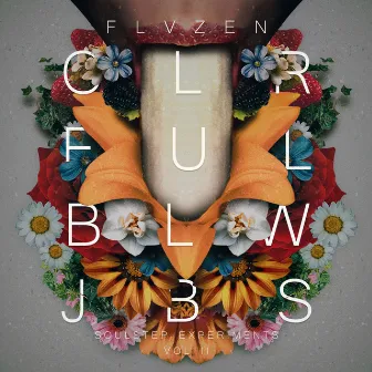 Colorful Blowjobs, Vol. 2 (Soulstep Experiments) by Flavio Zen