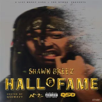 Hall of Fame by Shawn Breez