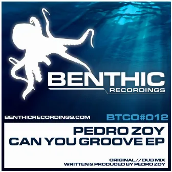 Can You Groove EP by Pedro Zoy