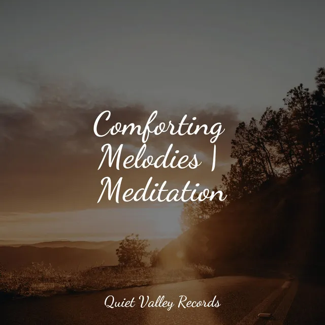 Comforting Melodies | Meditation